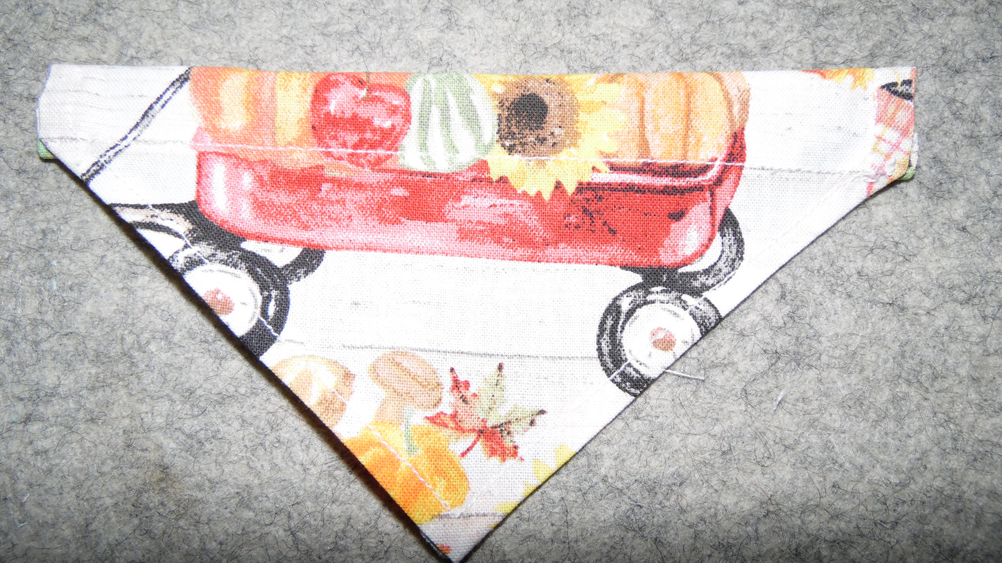 Over the Collar Bandanna Fall Wagon