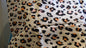 Peach Leopard Reusable Grocery Bag 15x14x6.5